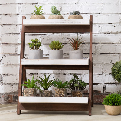 Plant Stand