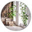 Miroir mural Coralee