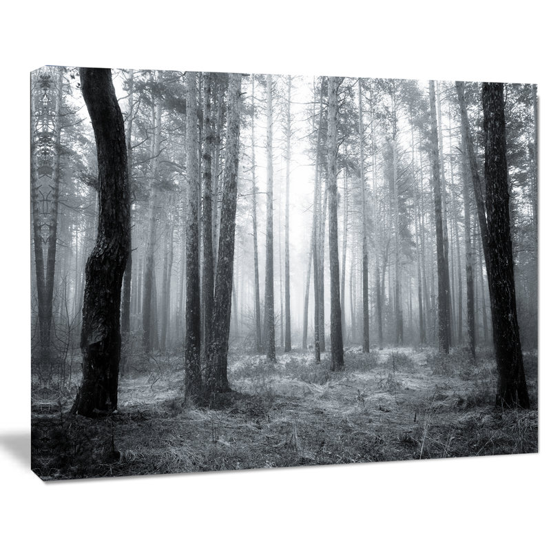 Forêt, art mural noir et blanc, photographie de paysage brumeux - Forêt brumeuse noir et blanc, H 30 po x l 40 po x P 1 po