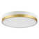 Hopeland Acrylic LED Flush Mount