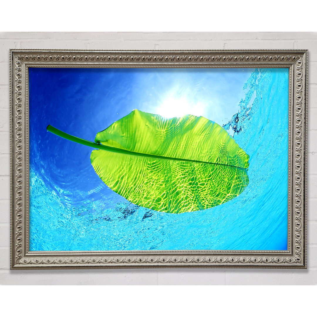 Gerahmtes Wandbild Blue Waters Of A Green Leaf