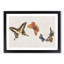 Four Butterflies by Fujishima Takeji - Picture Frame Painting Print-55577729-55577728