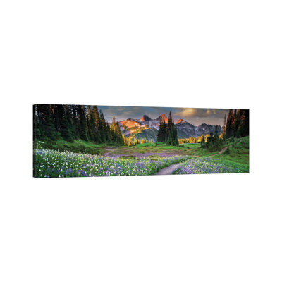 Tatoosh Floral Trail Panoramic - Wall Art Print - Framed Canvas