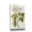Reproduction d’art sur toile tendue « Lacy Leaves IV »-1107376269