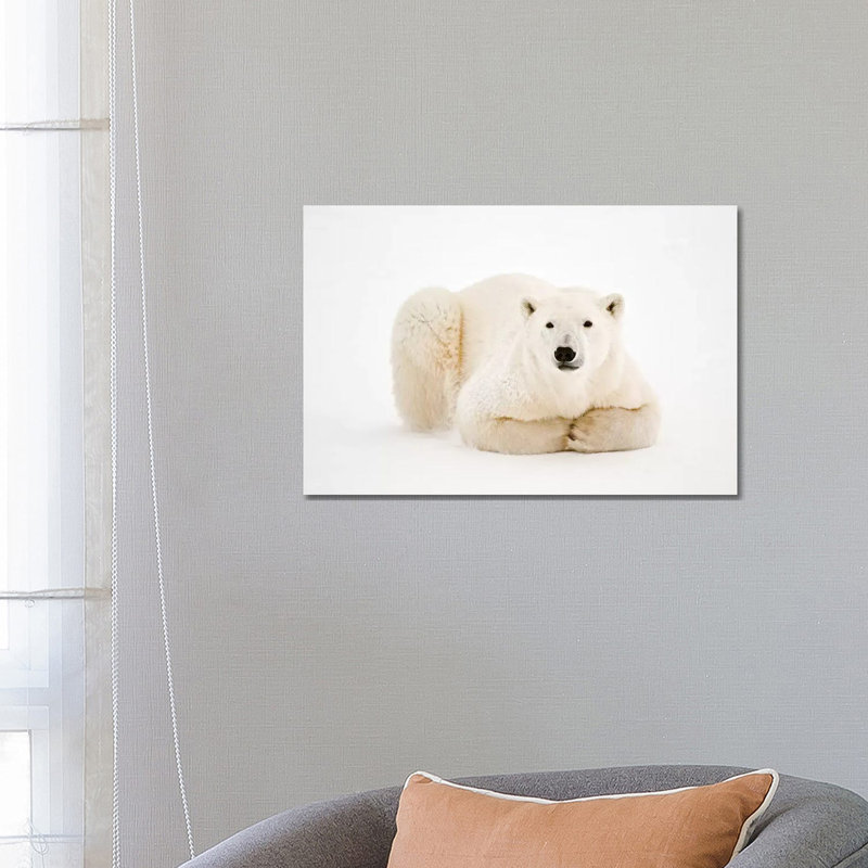 Canada, Manitoba, Churchill by Jaynes Gallery - Wrapped Canvas Print, 66.04 cm H x 45.72 cm W x 1.91 cm D