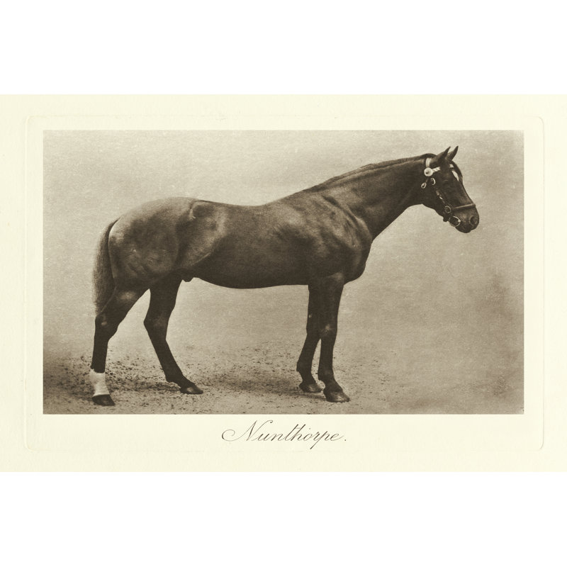 Nunthorpe - Wrapped Canvas Print, 20cm H x 30cm W x 3.8cm D