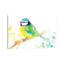 Oiseau vert - reproduction d'art-52990238-52990239-52990241