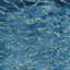 Animal Print Velvet | Empress Fabric-1656985867
