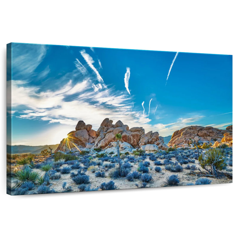 Nicci Joshua Tree Park Rock Formations, 16'' H x 24'' W