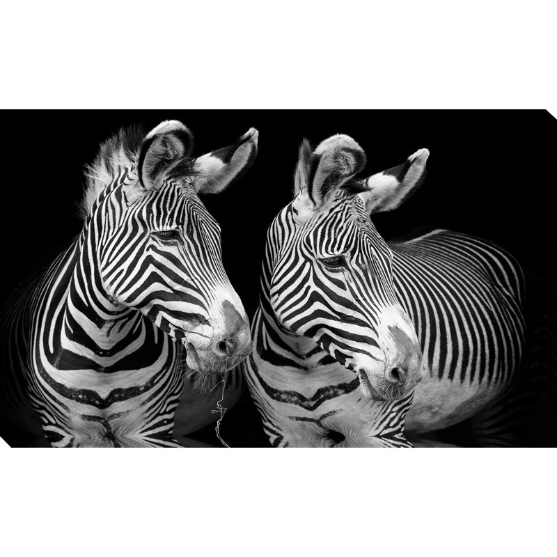 Duo de zèbres - reproduction de photo sur toile tendue, H 18 po x l 30 po x P 1 po