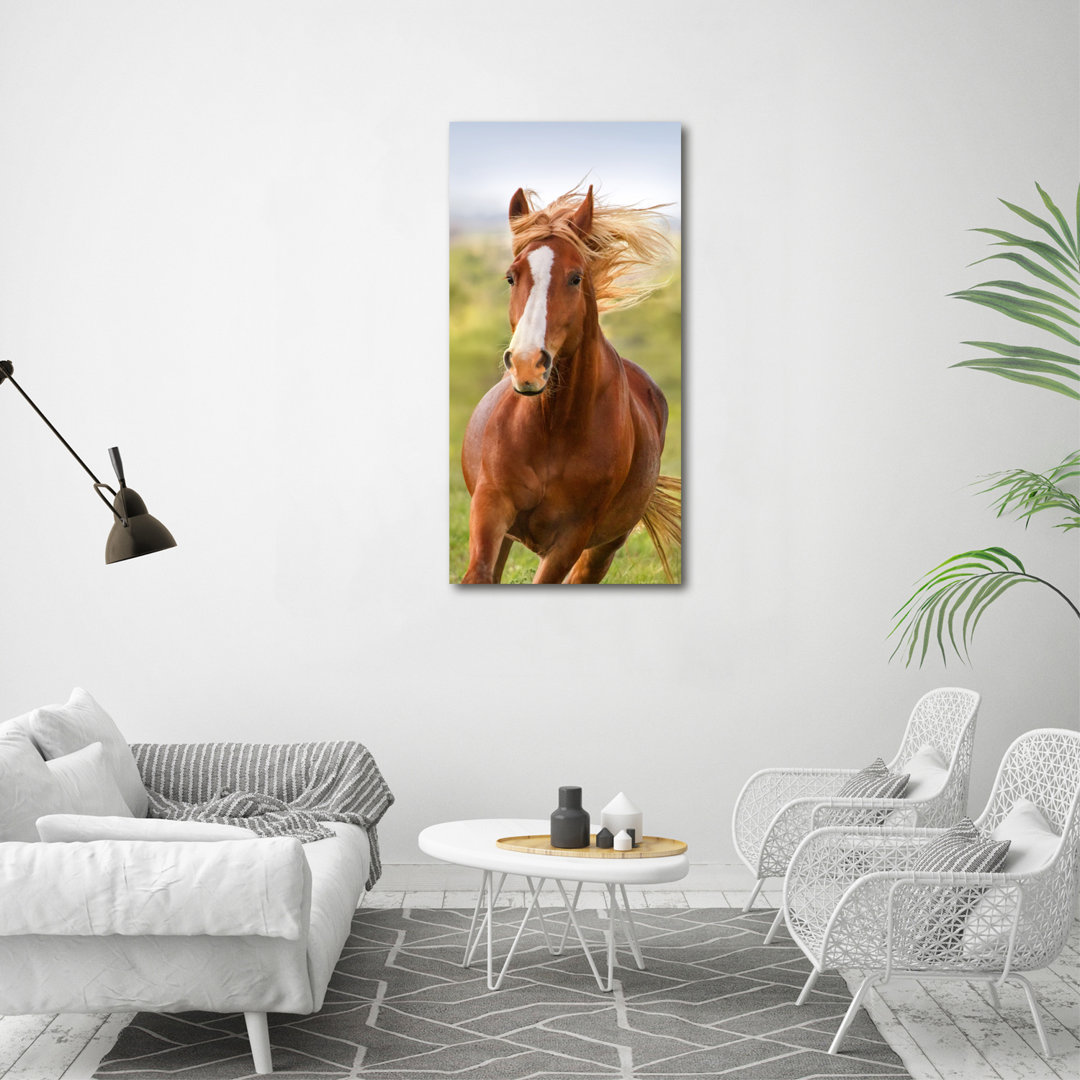Horse In Gallop - Wrapped Canvas Print