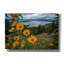 «Summer Evening At Hauteur Of Land» par Rick Berk, art mural sur toile-1464186589