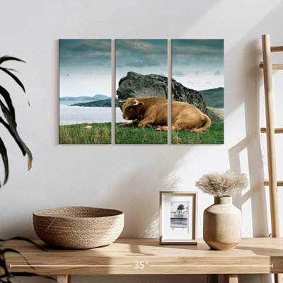 Highlander Bull