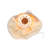 16'' Christmas Lighted Tree Topper