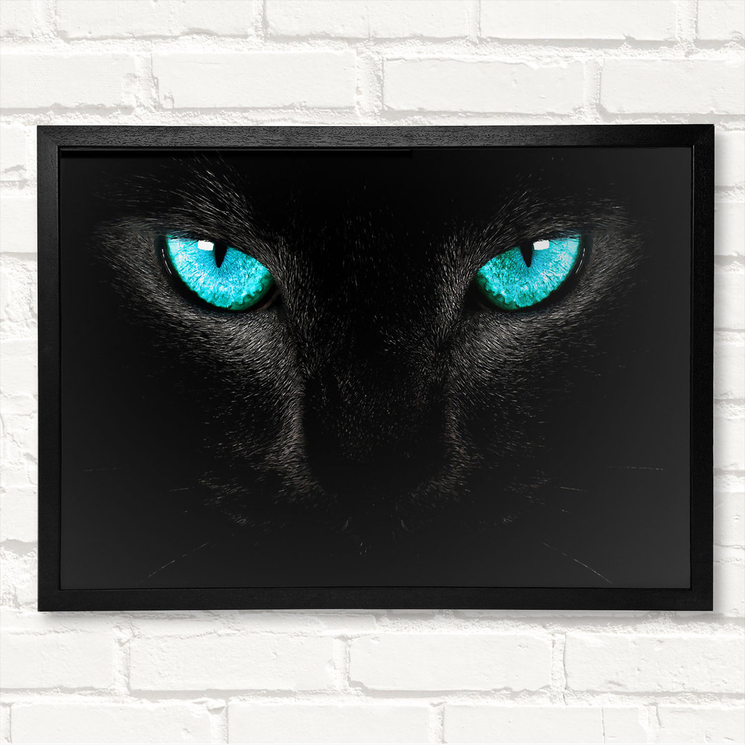 Blue Eyes Cat Gerahmter Druck