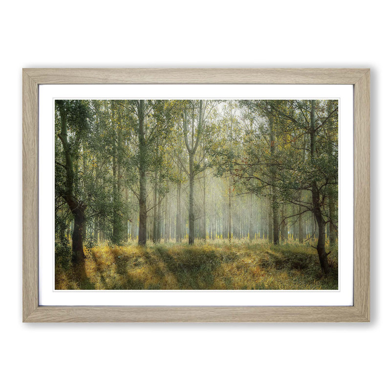 Single Picture Frame Print, Oak