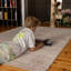 Nassau Area Rug-98419278-98419279