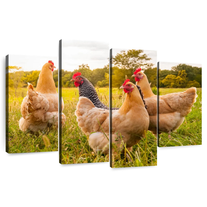 Chickens Looking For Food, H 32 po x l 52 po