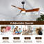 Desir 52cm Ceiling Fan with LED Lights-1676127086