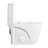 1.1/1.6 GPF Dual Flush One-Piece Toilet-111875221