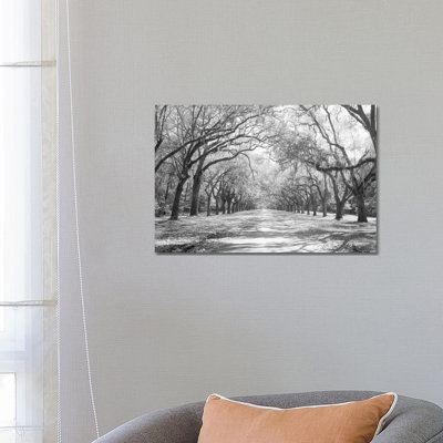 1 Piece Wrapped Canvas Wall Art