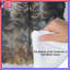 Misty Forest Landscape Comforter-125233438