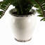40cm Faux Plant in Ceramic Pot