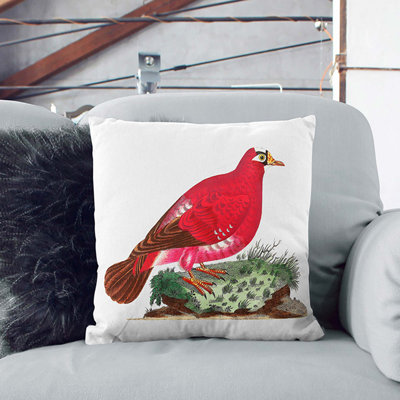 Square Throw Cushion