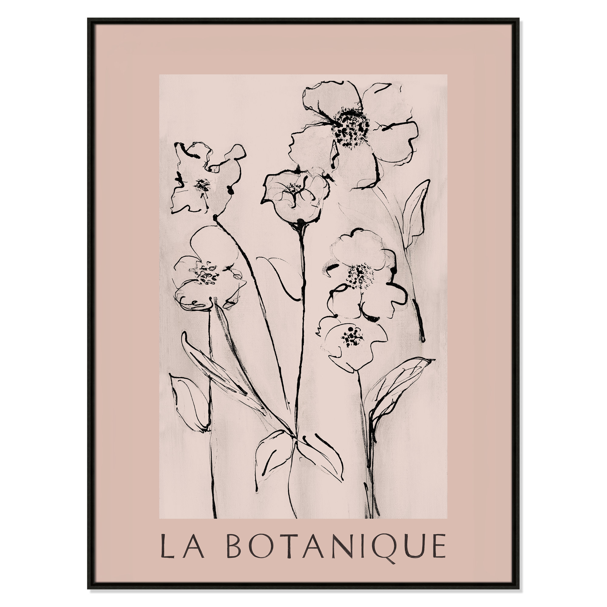 Botanical Poster Collection " La Botanique " by Susan Jill, 49.5" H x 37.5" W x 2" D, No, Espresso Floater Frame