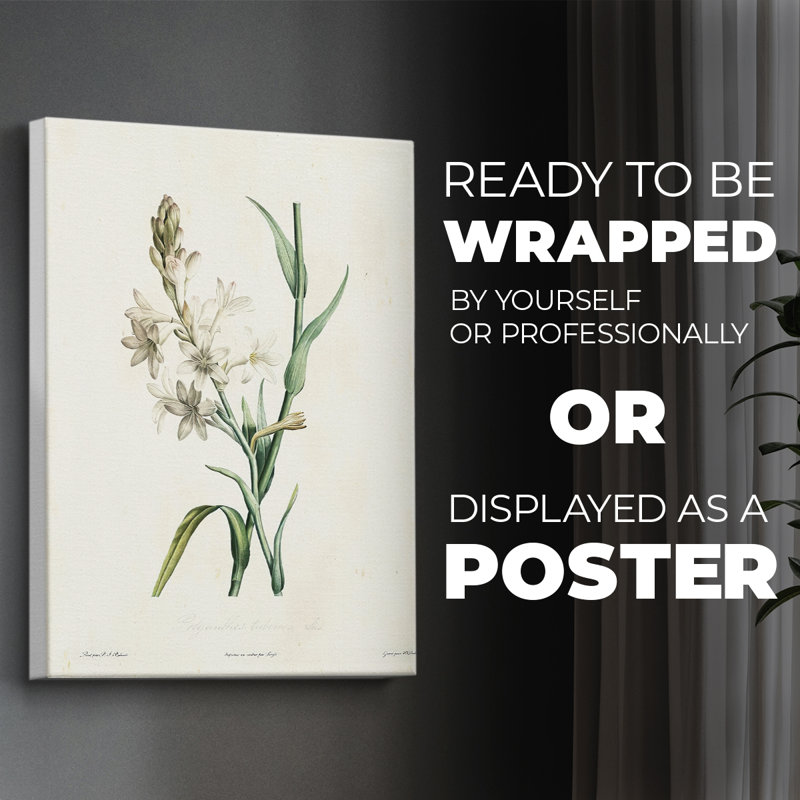 Traditional Botanical IV - Impression sur toile seulement - NON-CADRE, H 60 po x l 40 po