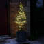 String Lights-811002113