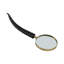 12" Kettering Horn Magnifying Glass