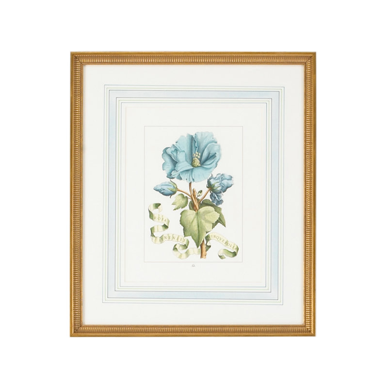 Blue Floral With Ribbon-A Print