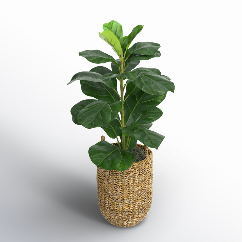 30'' Faux Fiddle Leaf Fig Tree in Wicker/Rattan Basket