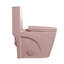 Toilette allongée matte une pièce avec double chasse et siège à fermeture en douceur