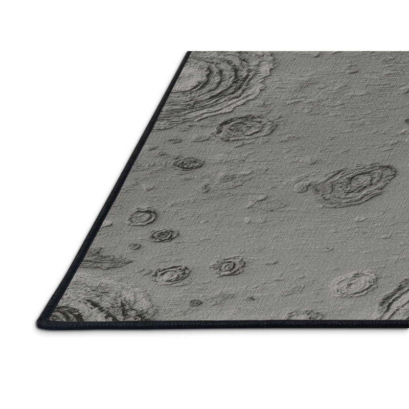 Tapis gris lavable à la machine, Rectangulaire 2 pi x 3 pi