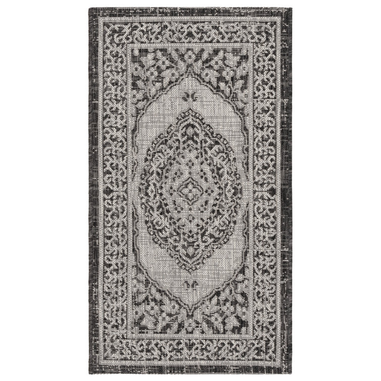 Amedee Performance Oriental Indoor/Outdoor Area Rug