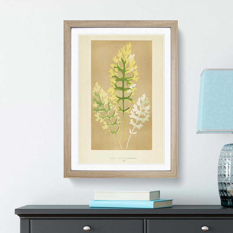 Leaf Illustration by Benjamin Fawcett - Picture Frame Painting Print, 36cm H x 27cm W x 2cm D, Oak Framed