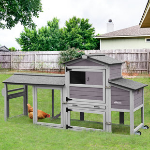 The Best Chicken Coop and Accessories of 2024