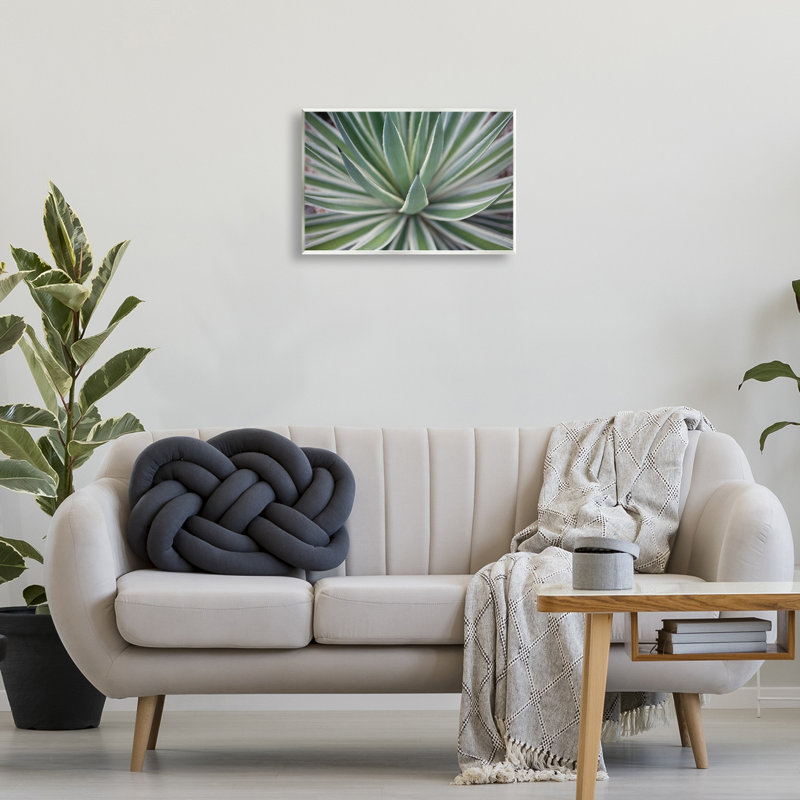 «Striped Plant Leaves» par Susan Bryant, H 13 po x l 19 po