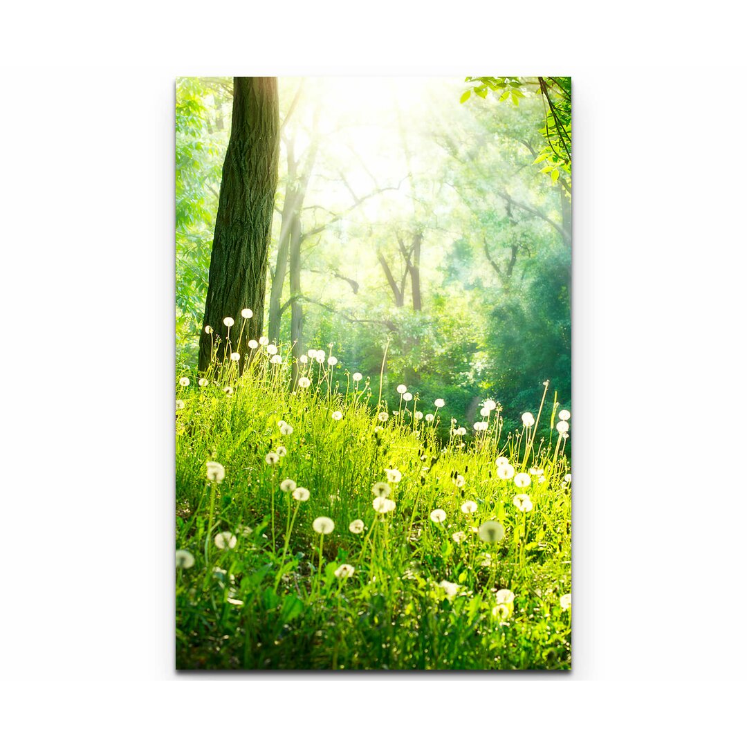 Leinwandbild Pusteblumen im Wald