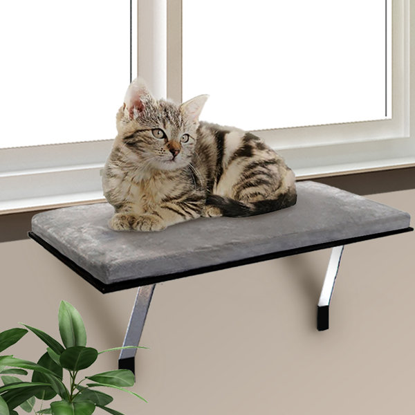 Tucker Murphy Pet™ Becerra Rectangle Cat Bed & Reviews | Wayfair