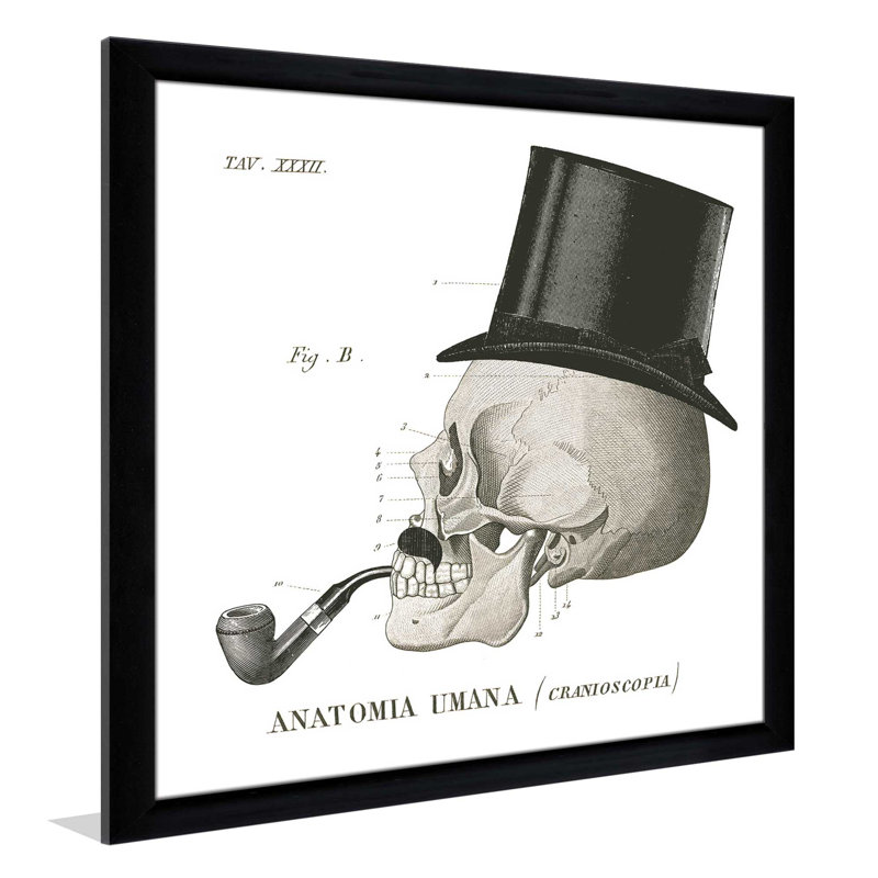 " Dandy Bones II ", 21.5" H x 21.5" W x 0.75" D, Black Framed