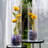 Colner Glass Cylinder Vase