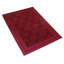 Tapis rouge Bradfield