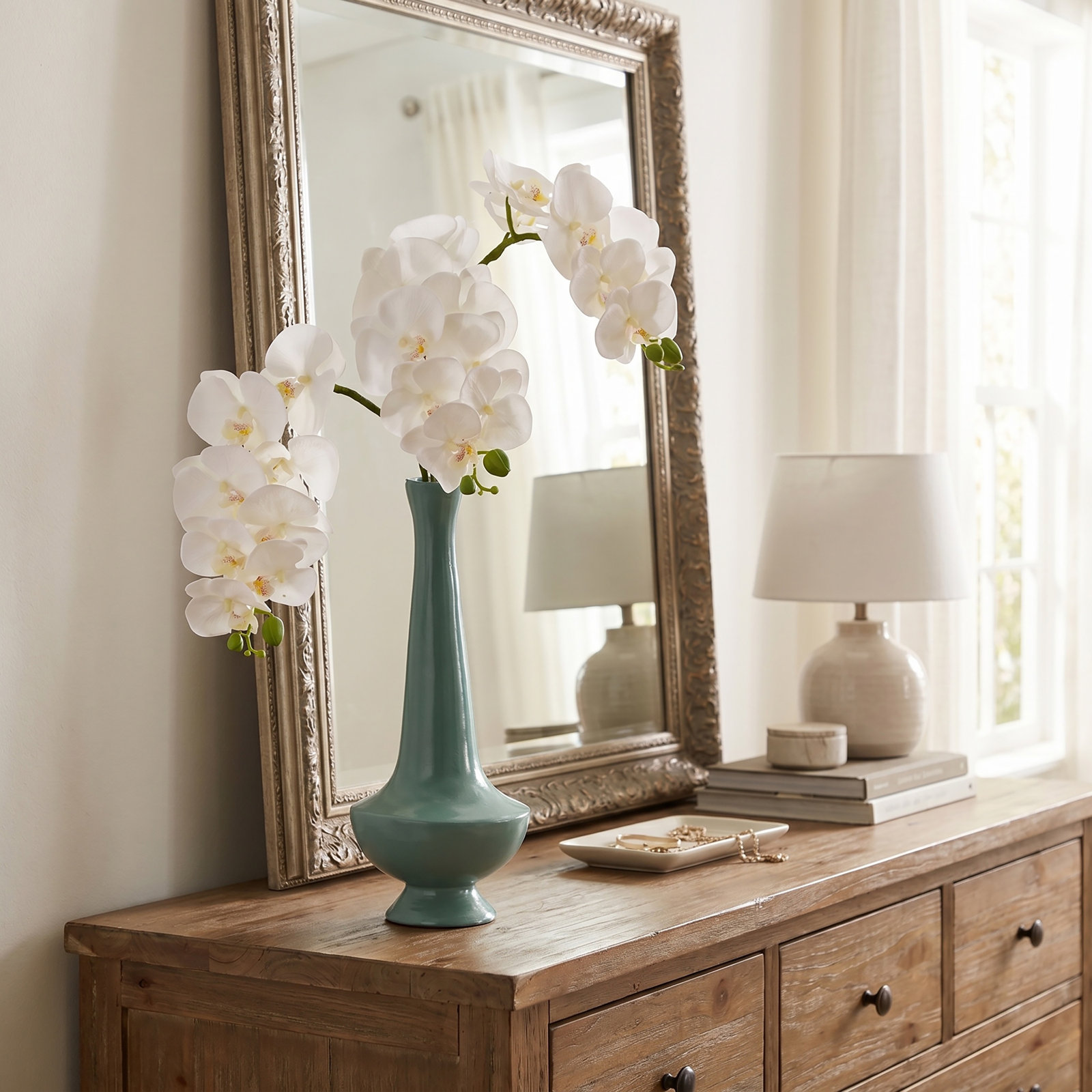 Phalaenopsis Orchid Stems, White