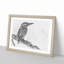 Kingfisher Bird on a Branch - Picture Frame Graphic Art Print-56735175-56735176