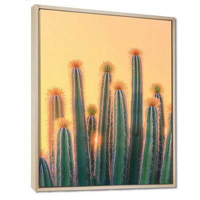 Markeitha Pastel Cacti At Sunrise I - Cactus Wall Art Decor