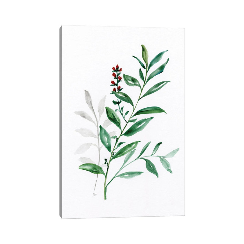 Freshly Picked III By Nan - Wrapped Canvas Art Prints by Nan - Wrapped Canvas Gallery-Wrapped Canvas Giclée