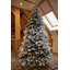 Snowy Sheffield Spruce 6.5ft Tree